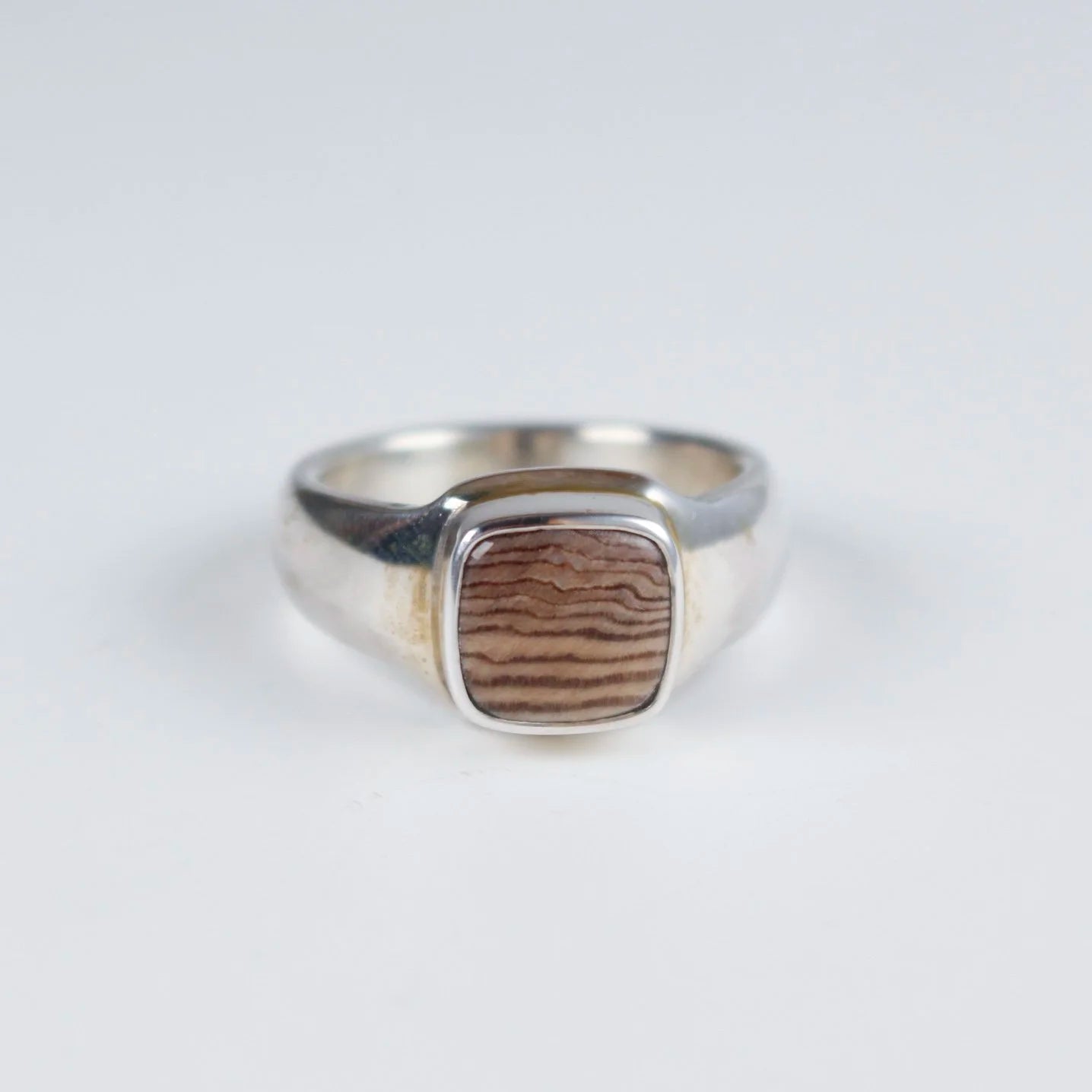 Sebastian Cilento - Classic Signet Ring - Hells Canyon Petrified Wood
