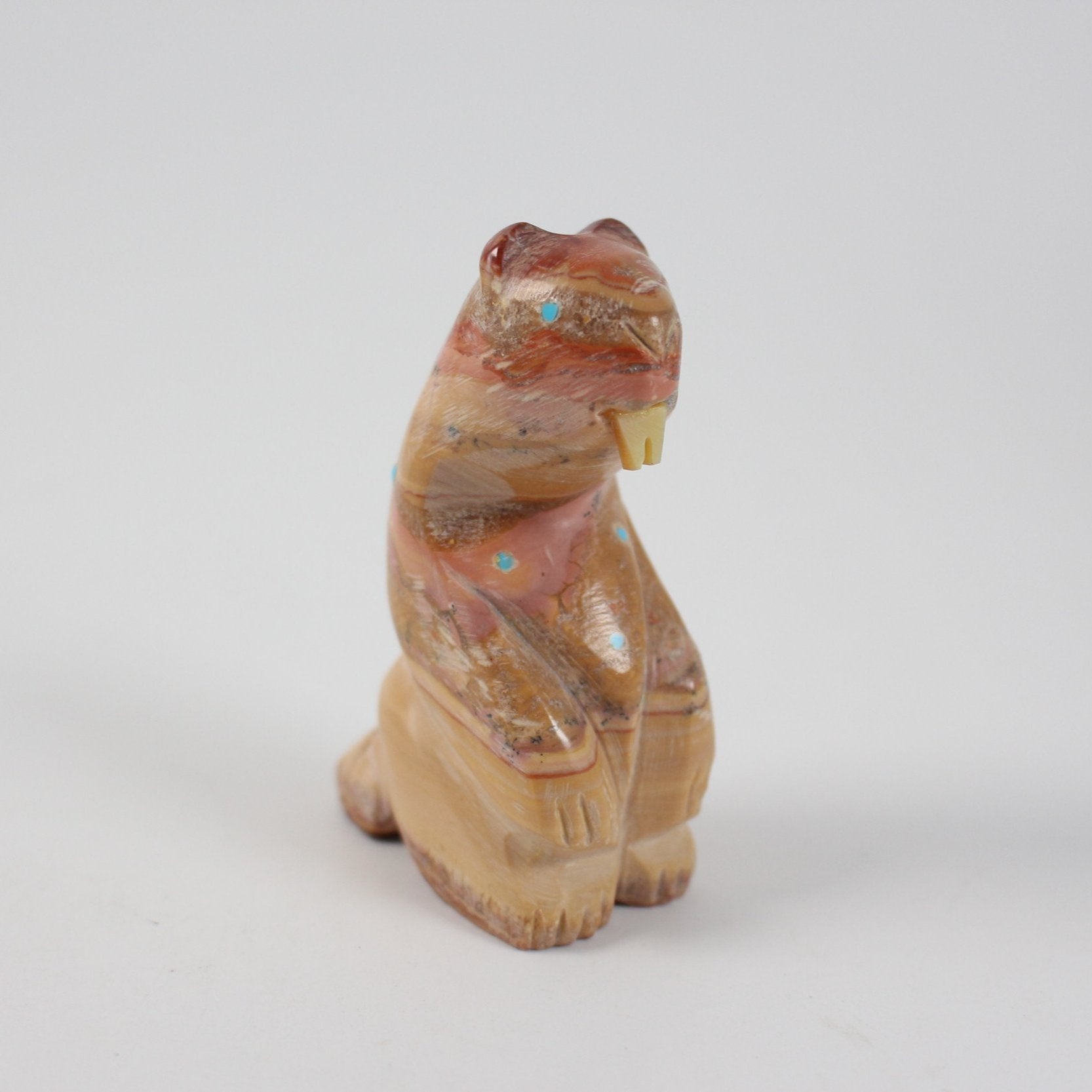 Zuni Beaver