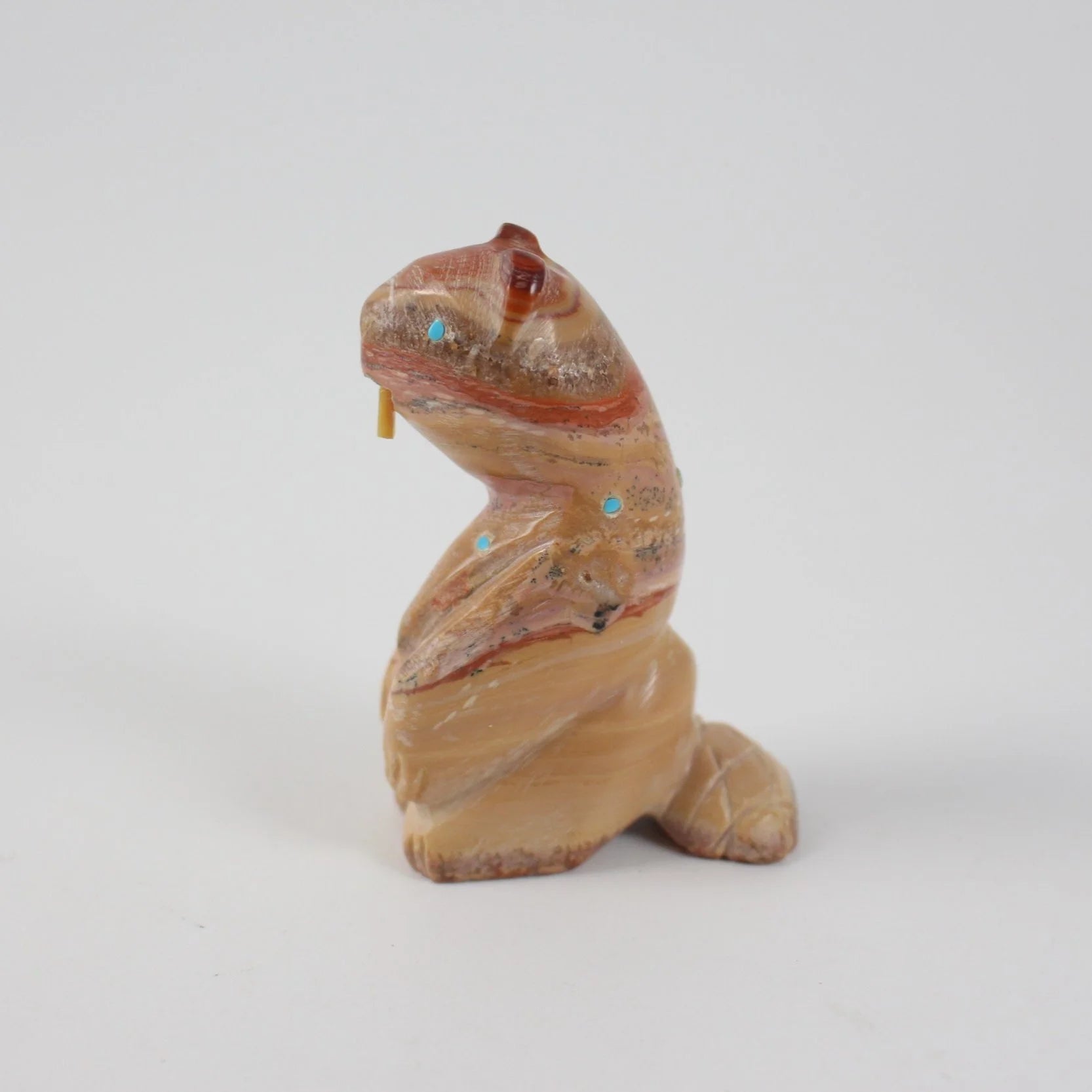 Zuni Beaver