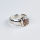 Sebastian Cilento - Classic Signet Ring - Hells Canyon Petrified Wood