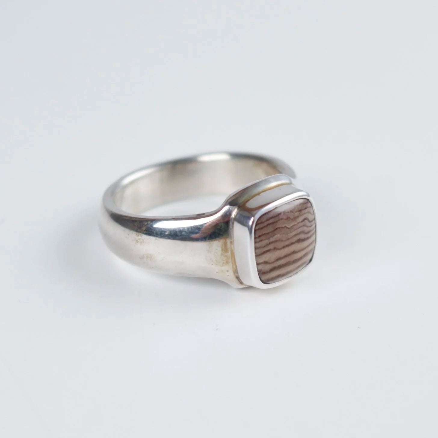 Sebastian Cilento - Classic Signet Ring - Hells Canyon Petrified Wood