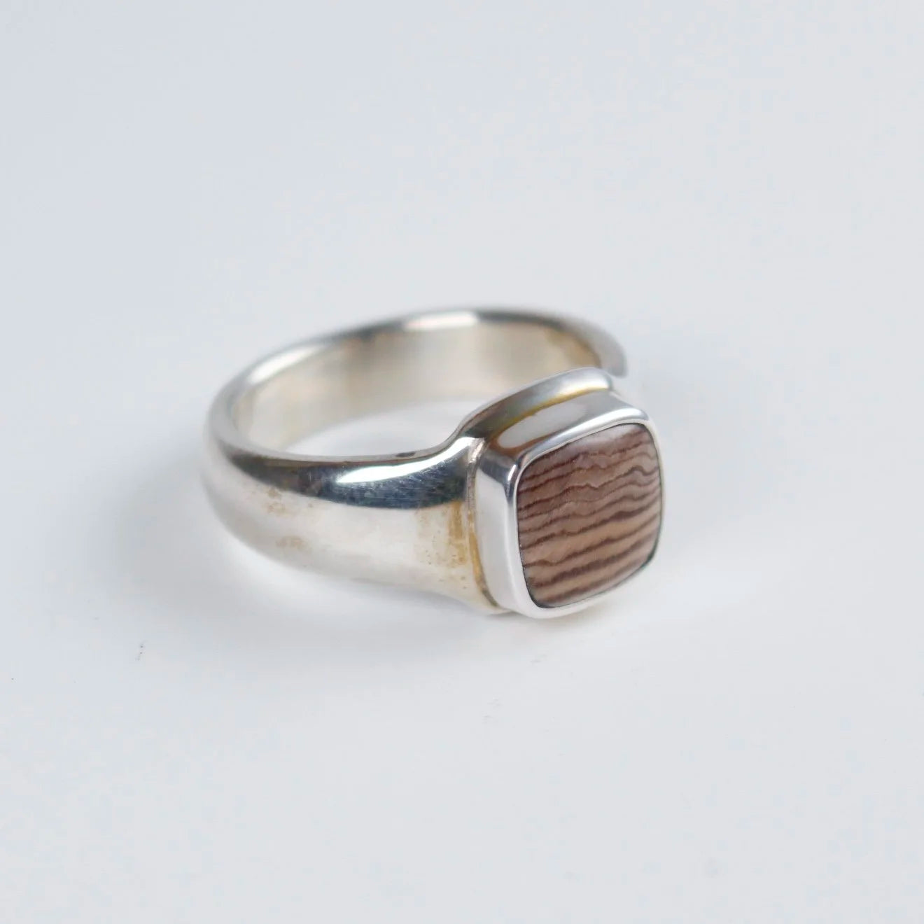 Sebastian Cilento - Classic Signet Ring - Hells Canyon Petrified Wood