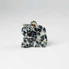 Zuni Frog